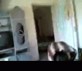 Открывая двери для будущего - #узсекис и узбекские студенты