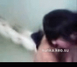 Желіде қыздардың шашылып жатқанын қараңыз