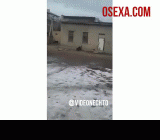 Onalar bilan porno animatsiyalar