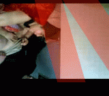 Таджикская молодежь секс на скрытую камеру